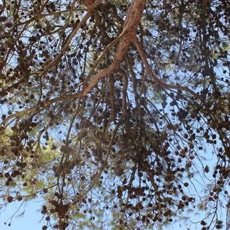 Holiday home Casale Fumarola Ostuni