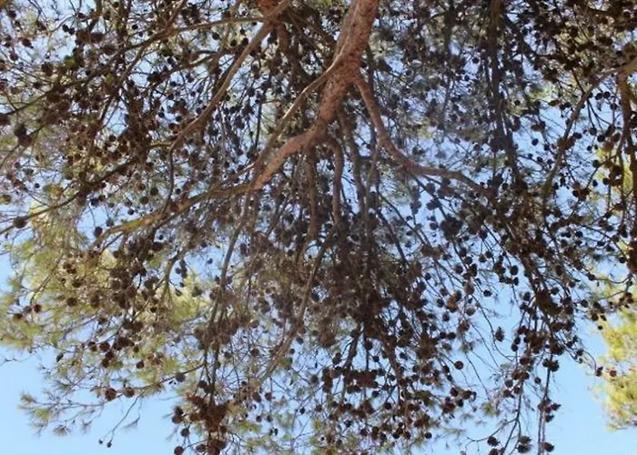 Prázdninový dům Casale Fumarola Ostuni